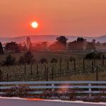 Freddie Long at Keymar Winery