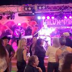 Tailor Made LIVE at the NEST in Apulia Station NY