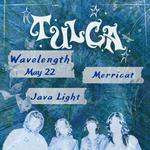 Supporting Tulca