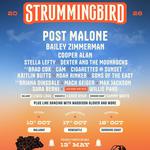 Strummingbird - Newcaastle 2026