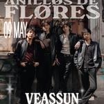 Veassun en Veracruz