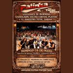 Palinka Rock band en concierto