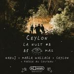 Ceylon la nuit #2