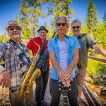 Novato Art, Wine and Music Festival  2026