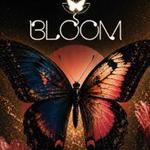 🌸🦋 BLOOM 🦋🌸