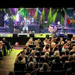 Lost in Paradise Jimmy Buffett Tribute