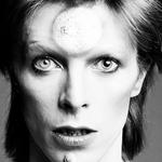 The Rise and Fall of Ziggy Stardust