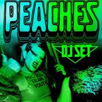 Sonoras Festival (Peaches DJ Set)