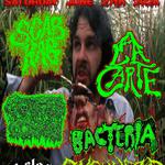 Bacteria, Scab Hag, Gouted Corpse, A La Carte, Ovenhead