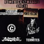 Punk ol'olio - Good Morning Cernobyl/NastyNielsen/Discordia/TheTermites