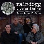 Live at the Shrine Harlem