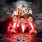 GRUPO 5 | POTOSÍ, BOLIVIA