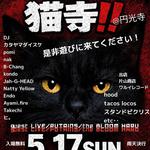 猫寺