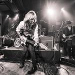 The Damn Torpedoes & The Heartbreakers