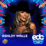 EDC - YEEDC Stage