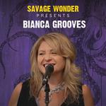 Savage Wonder - The Gallery