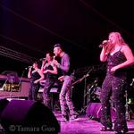 Ultimate Disco Cruise