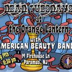 Grateful Tuesday wAmerican Beauty Band