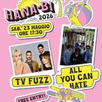 All You Can Hate + Tv Fuzz
