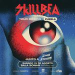Skillbea Tour México - Puebla