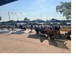 Summer Bash