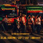Sonidos de resistencia: Noche de reggae en el centro