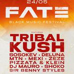 FATE MUSIC FESTIVAL
