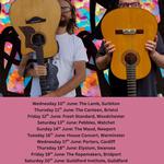Reinis Jaunais & The Flamenco Thief in Bridport UK