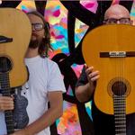 Reinis Jaunais & The Flamenco Thief - Zagare LT