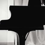 Le Salon de Musique in Wien