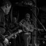 Old Tom & the Lookouts LIVE at Woostock!