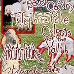 Bad Cathy, Telephone Pole, Strumbrush, Culprits of the Youth, Medievil Architecture
