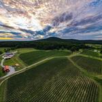 Freddie Long at Sugarloaf Mountain Vineyard