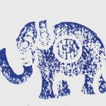 BIG FOOT Album Release Party 2