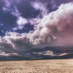 The Desert Music