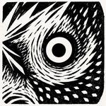 Owl Talons
