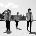 The Mountain Goats