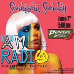 A Night Of Swinging Sixties Sound with AM Radio Tribute Band!