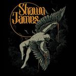 Shawn James Mexico City Foro Indie Rocks