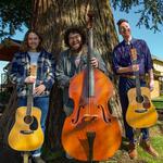Dadweed Live @ 7 Devils Brewery