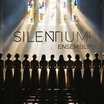 Kuba Kubín & Silentium! ensemble 