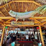 Cariies LIVE at Yucatan Waterfront