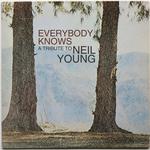 Everybody Knows This Is Nowhere @ Vinegar Hill Arundel, ME