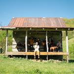 Susto Stringband @ Tønder Festival 2026