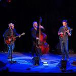 Bluegrass Grateful Dead Tribute @ The Hollow