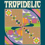 Tropidelic, Beach Fly, Sons of Paradise w/ sit-in guest Mellodose