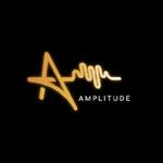 Amplitude Cover Band à la cale 