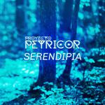 Proyecto Petricor