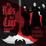 THE RATS IN A CAGE TOUR