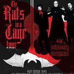 THE RATS IN A CAGE TOUR